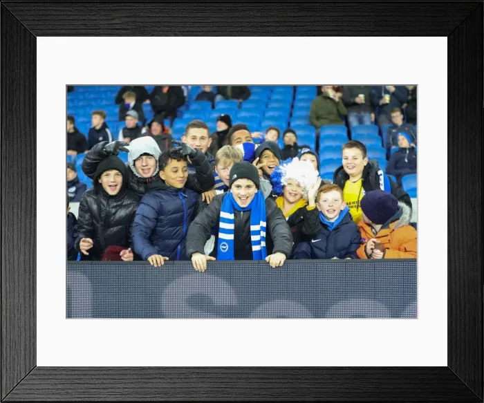 Framed Print : Brighton & Hove Albion vs. Crystal Palace: A Premier League Showdown at American Express Community Stadium (November 2017) Framed Print : Brighton & Hove Albion vs. Crystal Palace: A Premier League Showdown at American Express Community Stadium (November 2017)