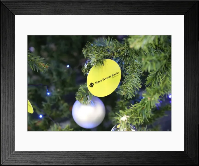 Framed Print : Young Seagulls Christmas Party at Amex Stadium, December 2017 Framed Print : Young Seagulls Christmas Party at Amex Stadium, December 2017