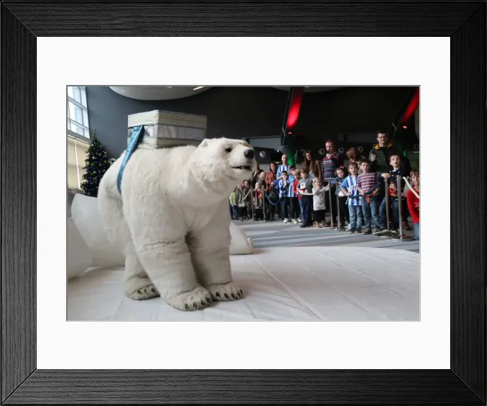 Framed Print : Young Seagulls Holiday Celebration at Amex Stadium, December 2017 Framed Print : Young Seagulls Holiday Celebration at Amex Stadium, December 2017