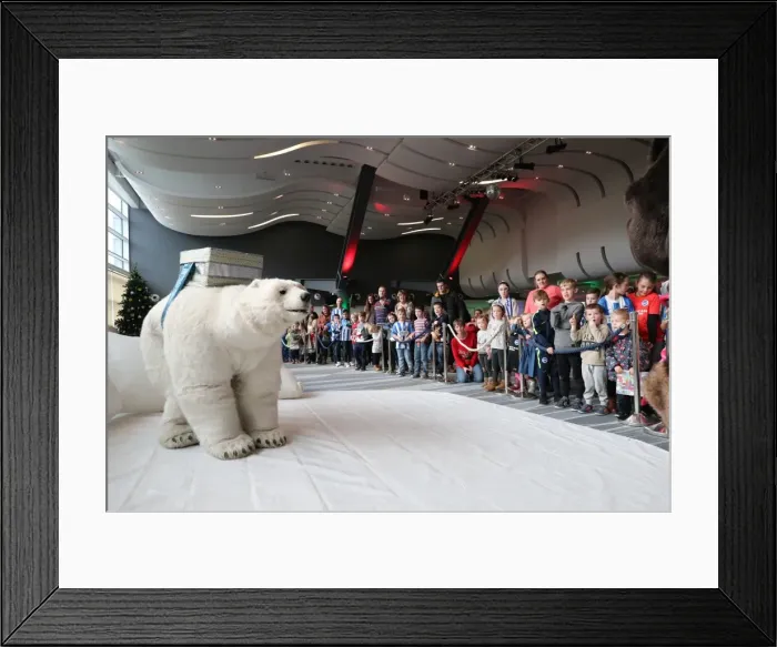 Framed Print : Young Seagulls Holiday Celebration at Amex Stadium, 2nd December 2017 Framed Print : Young Seagulls Holiday Celebration at Amex Stadium, 2nd December 2017