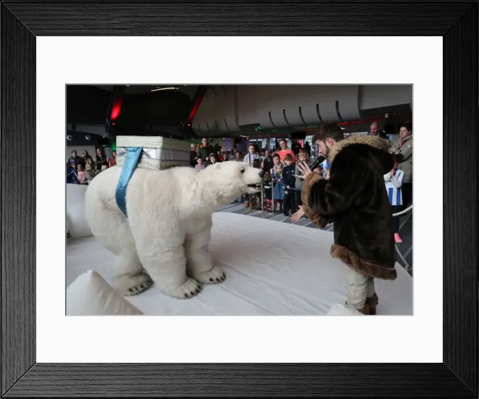 Framed Print : Young Seagulls Holiday Celebration at Amex Stadium - December 2nd, 2017 Framed Print : Young Seagulls Holiday Celebration at Amex Stadium - December 2nd, 2017