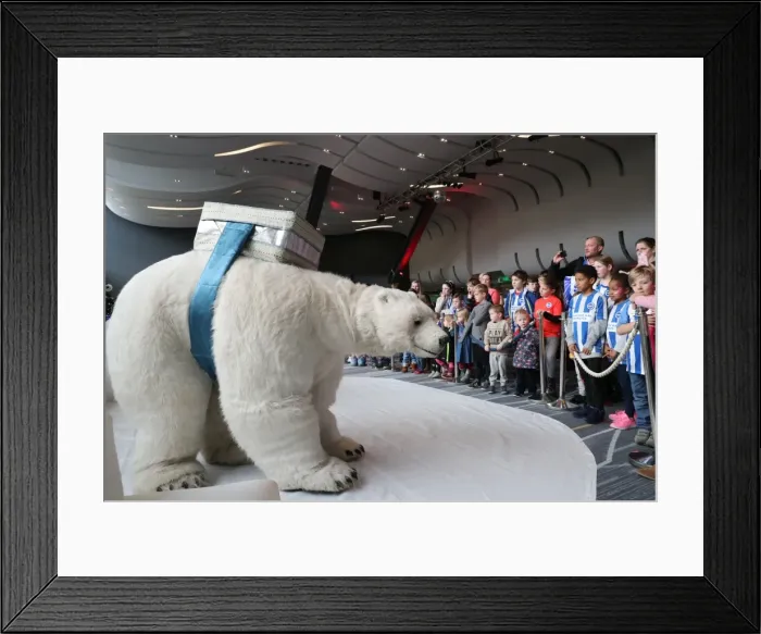 Framed Print : Young Seagulls Holiday Celebration: Christmas Party at Amex Stadium (2nd December 2017) Framed Print : Young Seagulls Holiday Celebration: Christmas Party at Amex Stadium (2nd December 2017)