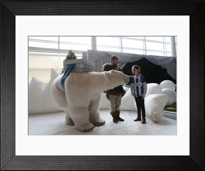 Framed Print : Young Seagulls Christmas Party at Amex Stadium, Brighton & Hove Albion FC (December 2017) Framed Print : Young Seagulls Christmas Party at Amex Stadium, Brighton & Hove Albion FC (December 2017)