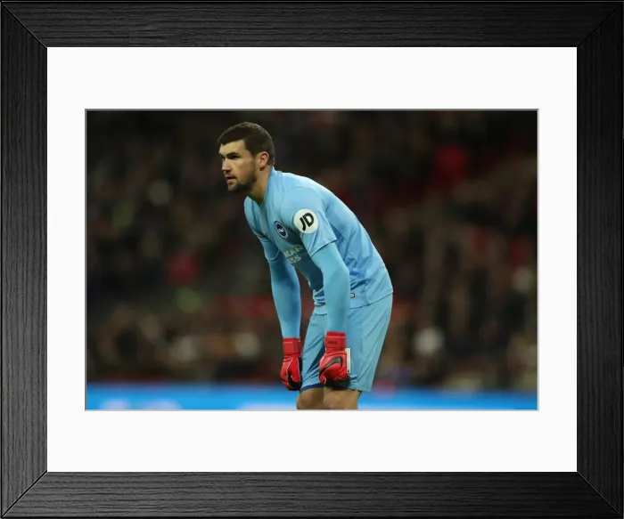 Framed Print : Premier League Showdown: Tottenham Hotspur vs. Brighton and Hove Albion at Wembley Stadium (13DEC17) Framed Print : Premier League Showdown: Tottenham Hotspur vs. Brighton and Hove Albion at Wembley Stadium (13DEC17)