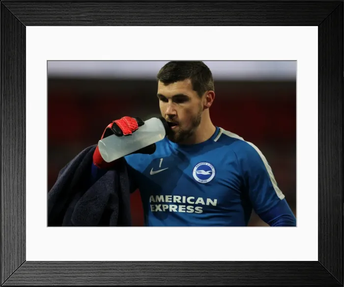 Framed Print : Premier League Showdown: Tottenham Hotspur vs. Brighton and Hove Albion at Wembley Stadium (13DEC17) Framed Print : Premier League Showdown: Tottenham Hotspur vs. Brighton and Hove Albion at Wembley Stadium (13DEC17)