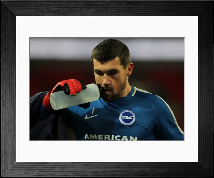 Framed Print : Premier League Showdown: Tottenham Hotspur vs. Brighton and Hove Albion at Wembley Stadium (13DEC17) Framed Print : Premier League Showdown: Tottenham Hotspur vs. Brighton and Hove Albion at Wembley Stadium (13DEC17)