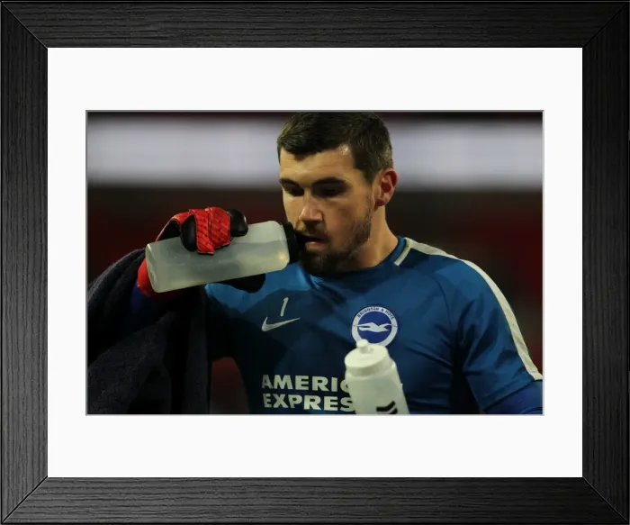 Framed Print : Premier League Showdown: Tottenham Hotspur vs. Brighton and Hove Albion at Wembley Stadium (13DEC17) Framed Print : Premier League Showdown: Tottenham Hotspur vs. Brighton and Hove Albion at Wembley Stadium (13DEC17)