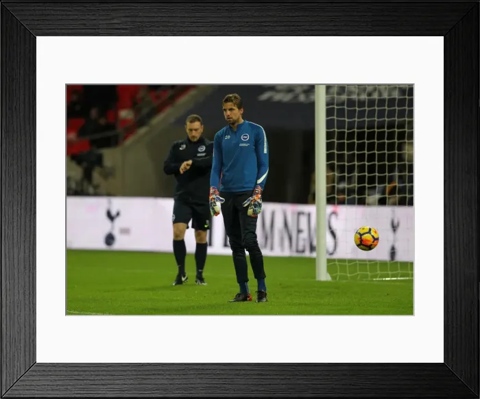 Framed Print : Intense Premier League Showdown: Tottenham Hotspur vs. Brighton and Hove Albion at Wembley Stadium (13DEC17) Framed Print : Intense Premier League Showdown: Tottenham Hotspur vs. Brighton and Hove Albion at Wembley Stadium (13DEC17)