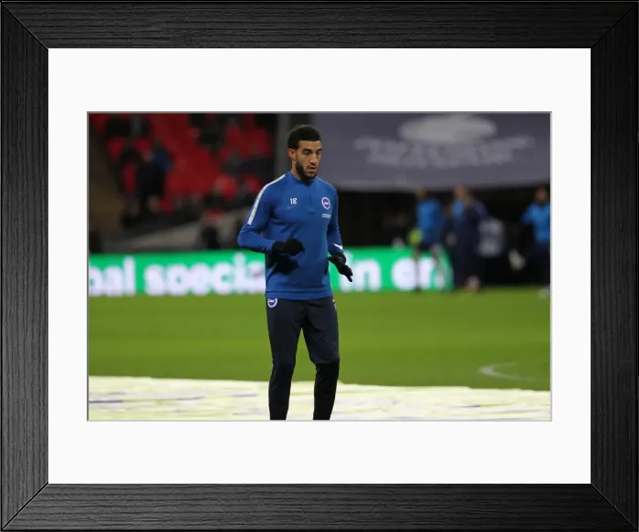 Framed Print : Premier League Showdown: Tottenham Hotspur vs. Brighton and Hove Albion at Wembley Stadium (13DEC17) Framed Print : Premier League Showdown: Tottenham Hotspur vs. Brighton and Hove Albion at Wembley Stadium (13DEC17)