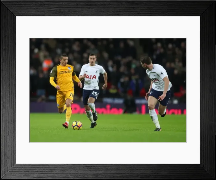 Framed Print : Premier League Showdown: Tottenham Hotspur vs. Brighton and Hove Albion at Wembley Stadium (13DEC17) Framed Print : Premier League Showdown: Tottenham Hotspur vs. Brighton and Hove Albion at Wembley Stadium (13DEC17)