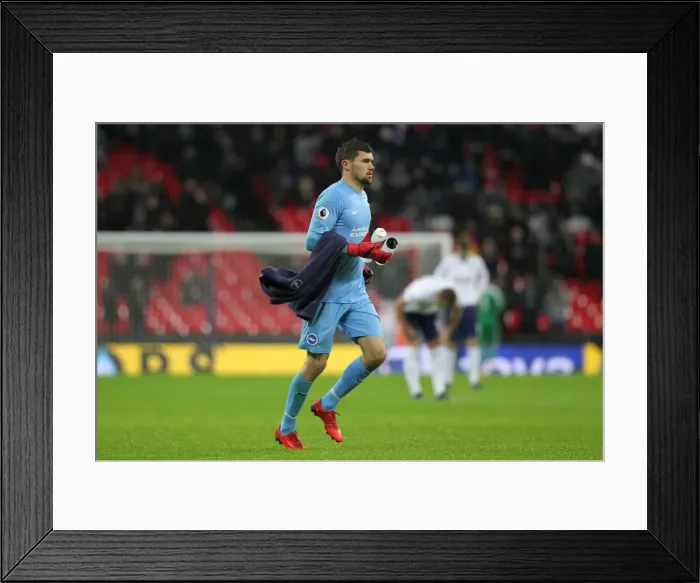 Framed Print : Premier League Showdown: Tottenham Hotspur vs. Brighton and Hove Albion at Wembley Stadium (13DEC17) Framed Print : Premier League Showdown: Tottenham Hotspur vs. Brighton and Hove Albion at Wembley Stadium (13DEC17)