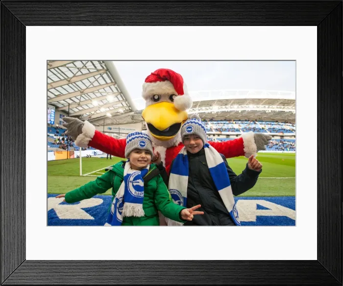 Framed Print : Brighton and Burnley Battle It Out in the Premier League: 16DEC17 at American Express Community Stadium Framed Print : Brighton and Burnley Battle It Out in the Premier League: 16DEC17 at American Express Community Stadium