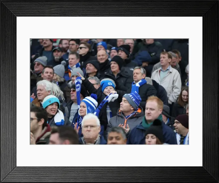 Framed Print : Brighton and Hove Albion vs Burnley: Fans in Action (16DEC17) Framed Print : Brighton and Hove Albion vs Burnley: Fans in Action (16DEC17)