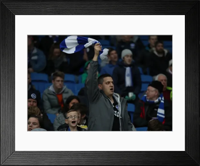 Framed Print : Premier League Showdown: Brighton & Hove Albion vs. Watford at American Express Community Stadium (23DEC17) Framed Print : Premier League Showdown: Brighton & Hove Albion vs. Watford at American Express Community Stadium (23DEC17)