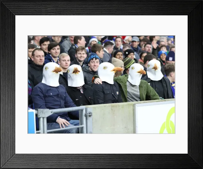 Framed Print : Premier League Showdown: Brighton & Hove Albion vs. Watford at American Express Community Stadium (23DEC17) Framed Print : Premier League Showdown: Brighton & Hove Albion vs. Watford at American Express Community Stadium (23DEC17)