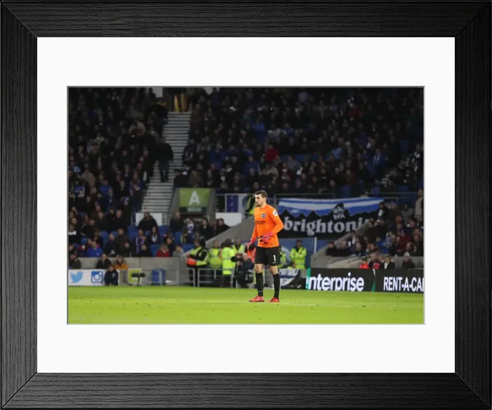 Framed Print : Premier League Showdown: Brighton & Hove Albion vs. Watford at American Express Community Stadium (23DEC17) Framed Print : Premier League Showdown: Brighton & Hove Albion vs. Watford at American Express Community Stadium (23DEC17)