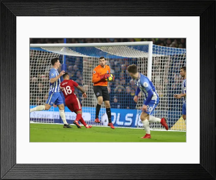 Framed Print : Mathew Ryan in Action: Brighton & Hove Albion vs. Watford, Premier League (23rd December 2017) Framed Print : Mathew Ryan in Action: Brighton & Hove Albion vs. Watford, Premier League (23rd December 2017)