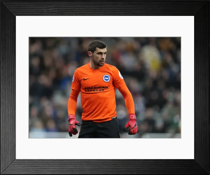 Framed Print : Decisive Moments: Newcastle United vs. Brighton and Hove Albion at St. James Park (30DEC17) Framed Print : Decisive Moments: Newcastle United vs. Brighton and Hove Albion at St. James Park (30DEC17)