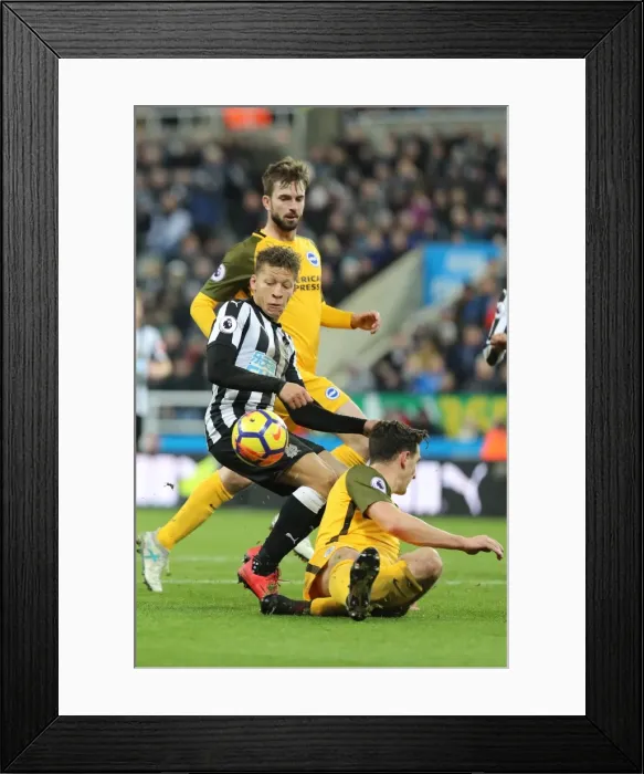Framed Print : Decisive Moments: Newcastle United vs. Brighton and Hove Albion at St. James Park (30DEC17) Framed Print : Decisive Moments: Newcastle United vs. Brighton and Hove Albion at St. James Park (30DEC17)