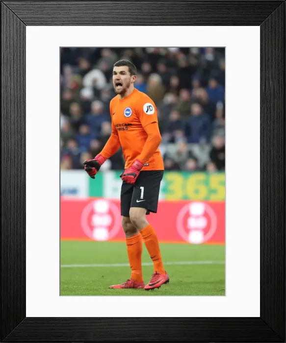 Framed Print : Decisive Moments: Newcastle United vs. Brighton and Hove Albion at St. James Park (30DEC17) Framed Print : Decisive Moments: Newcastle United vs. Brighton and Hove Albion at St. James Park (30DEC17)