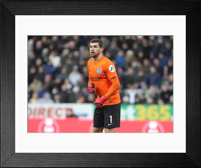 Framed Print : Decisive Moments: Newcastle United vs. Brighton and Hove Albion at St. James Park (30DEC17) Framed Print : Decisive Moments: Newcastle United vs. Brighton and Hove Albion at St. James Park (30DEC17)