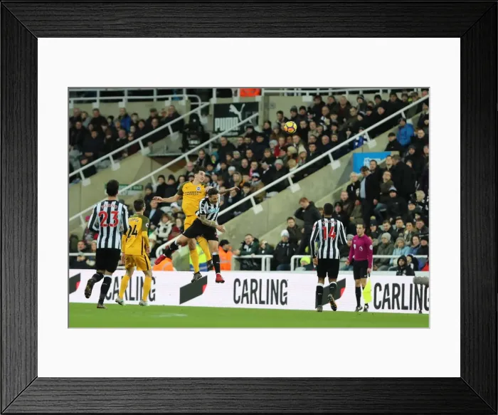 Framed Print : Decisive Battle: Newcastle United vs. Brighton and Hove Albion (30DEC17) - Lewis Dunk in Action Framed Print : Decisive Battle: Newcastle United vs. Brighton and Hove Albion (30DEC17) - Lewis Dunk in Action