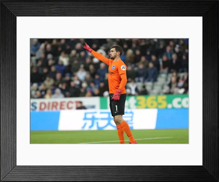 Framed Print : Mat Ryan of Brighton and Hove Albion Faces Newcastle United Onslaught in Premier League Clash (30DEC17)