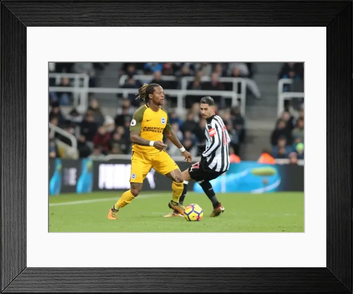 Framed Print : Brighton & Hove Albion's Gaetan Bong Faces Newcastle United in Premier League Clash (30DEC17)