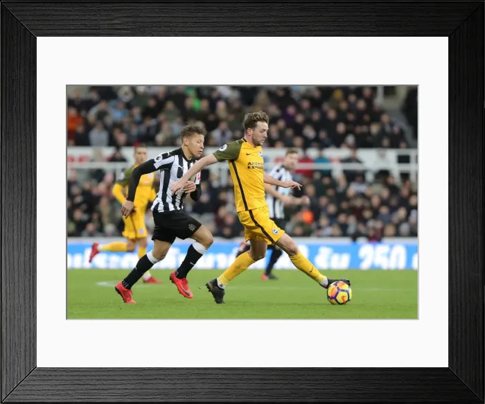 Framed Print : Dale Stephens Shields Ball from Dwight Gayle: Intense Midfield Battle at St. James Park (Newcastle United vs. Brighton and Hove Albion, 30DEC17)