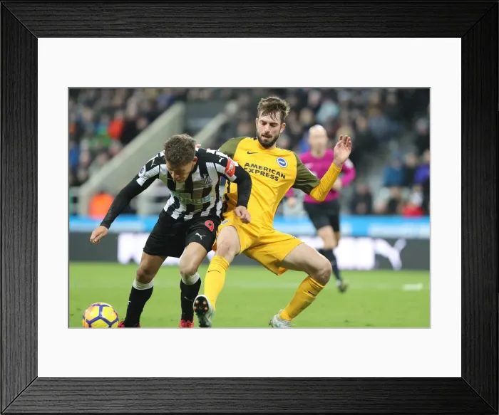 Framed Print : Propper Tackles Gayle: Intense Midfield Battle in Newcastle vs. Brighton (30DEC17)