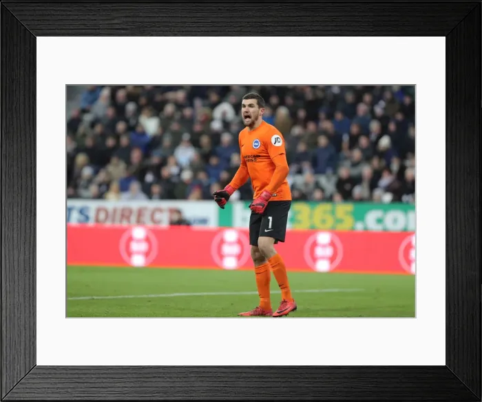 Framed Print : Mathew Ryan of Brighton and Hove Albion Faces Newcastle United Attack in Premier League Clash (30DEC17) Framed Print : Mathew Ryan of Brighton and Hove Albion Faces Newcastle United Attack in Premier League Clash (30DEC17)
