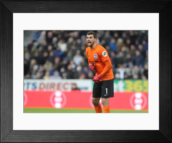 Framed Print : Mathew Ryan Faces Newcastle Onslaught: Premier League Clash between Brighton and Hove Albion at St. James Park (30DEC17) Framed Print : Mathew Ryan Faces Newcastle Onslaught: Premier League Clash between Brighton and Hove Albion at St. James Park (30DEC17)