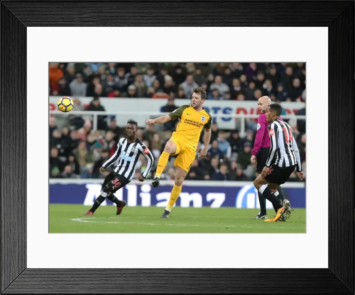 Framed Print : Dale Stephens in Action: Brighton and Hove Albion vs. Newcastle United (30DEC17) Framed Print : Dale Stephens in Action: Brighton and Hove Albion vs. Newcastle United (30DEC17)