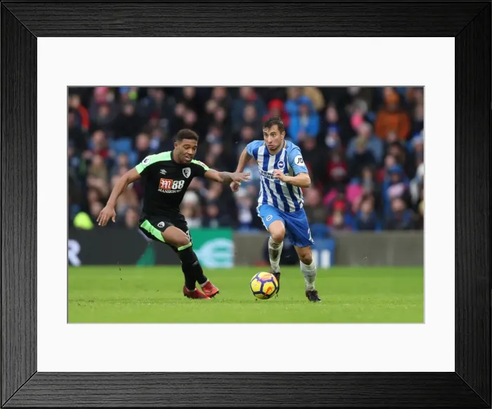 Framed Print : Brighton and Hove Albion vs Bournemouth: Premier League Clash at American Express Community Stadium (01.01.2018) Framed Print : Brighton and Hove Albion vs Bournemouth: Premier League Clash at American Express Community Stadium (01.01.2018)