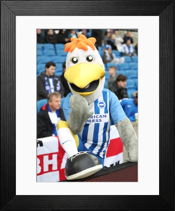 Framed Print : Premier League Showdown: Brighton & Hove Albion vs. Bournemouth (01JAN18) - American Express Community Stadium