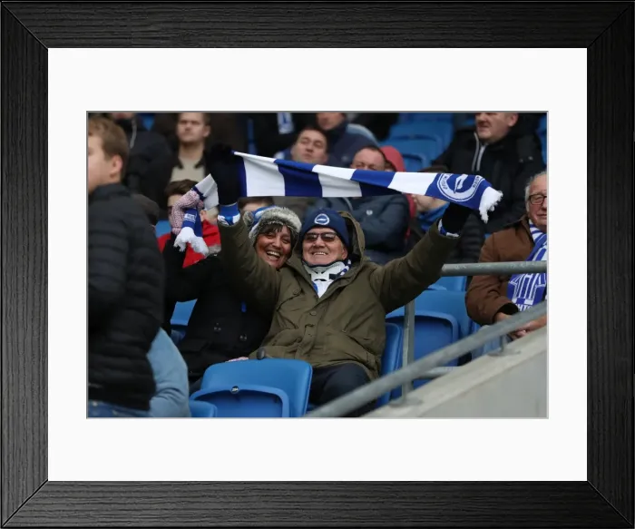 Framed Print : Brighton and Hove Albion vs Bournemouth: Premier League Clash at American Express Community Stadium (01.01.18) Framed Print : Brighton and Hove Albion vs Bournemouth: Premier League Clash at American Express Community Stadium (01.01.18)