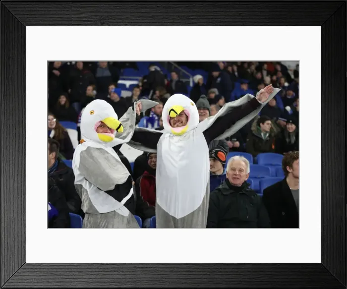 Framed Print : Brighton and Hove Albion vs. Crystal Palace: FA Cup 3rd Round Clash at American Express Community Stadium (08.01.18) Framed Print : Brighton and Hove Albion vs. Crystal Palace: FA Cup 3rd Round Clash at American Express Community Stadium (08.01.18)