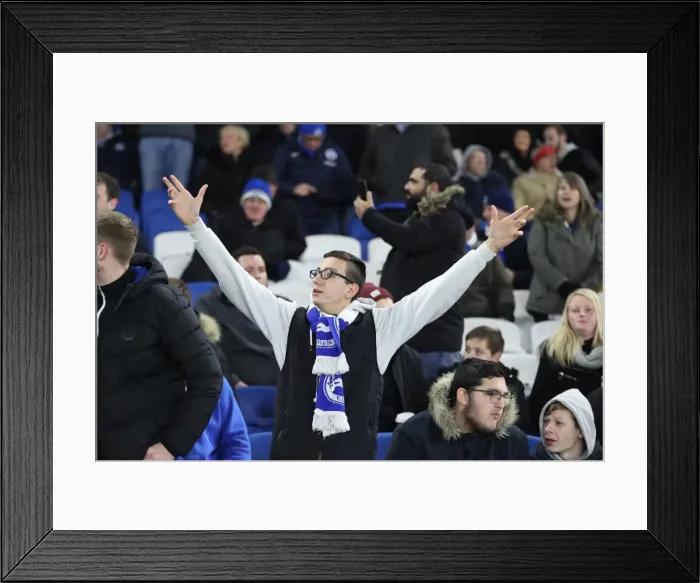 Framed Print : FA Cup 3rd Round: Brighton & Hove Albion vs. Crystal Palace Clash at American Express Community Stadium (08.01.18) Framed Print : FA Cup 3rd Round: Brighton & Hove Albion vs. Crystal Palace Clash at American Express Community Stadium (08.01.18)