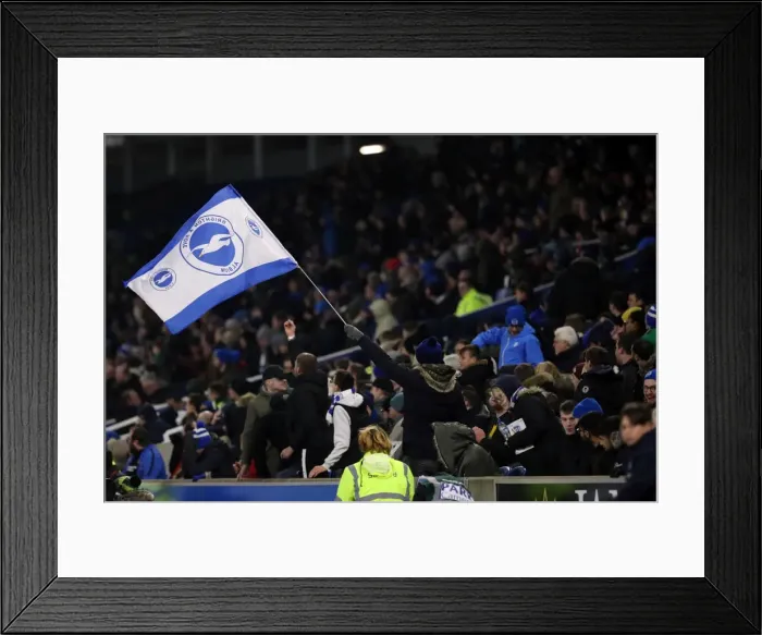 Framed Print : FA Cup 3rd Round: Brighton & Hove Albion vs. Crystal Palace (08.01.18) - American Express Community Stadium Showdown Framed Print : FA Cup 3rd Round: Brighton & Hove Albion vs. Crystal Palace (08.01.18) - American Express Community Stadium Showdown