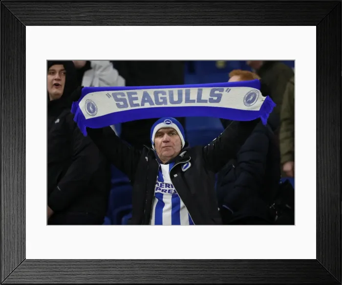 Framed Print : Brighton and Hove Albion vs. Crystal Palace: FA Cup 3rd Round Clash at American Express Community Stadium (08.01.18) Framed Print : Brighton and Hove Albion vs. Crystal Palace: FA Cup 3rd Round Clash at American Express Community Stadium (08.01.18)