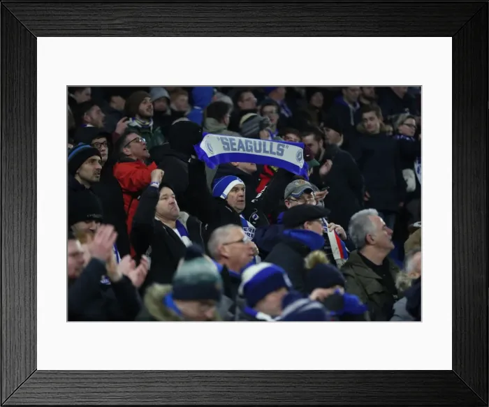 Framed Print : Brighton and Hove Albion vs. Crystal Palace: FA Cup 3rd Round Showdown at American Express Community Stadium (08JAN18) Framed Print : Brighton and Hove Albion vs. Crystal Palace: FA Cup 3rd Round Showdown at American Express Community Stadium (08JAN18)