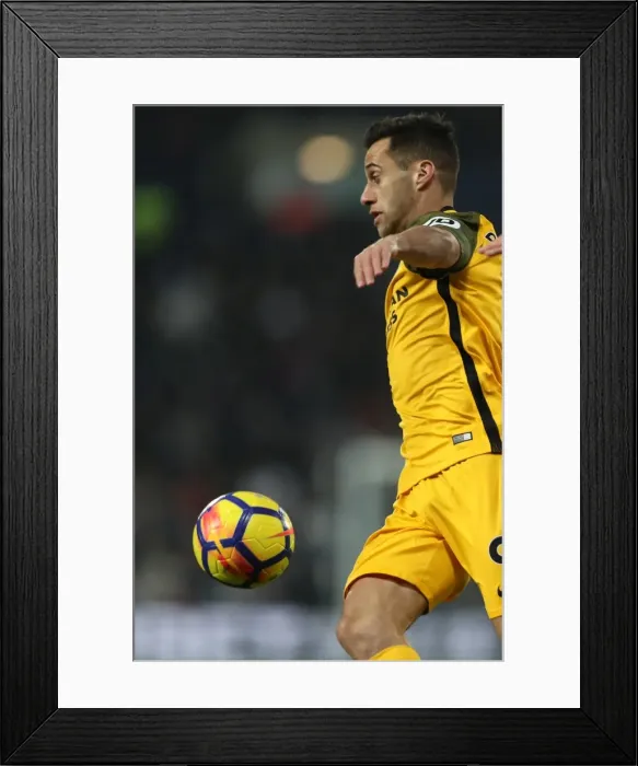 Framed Print : Premier League Showdown: Brighton and Hove Albion vs. West Bromwich Albion at The Hawthorns (13Jan18) Framed Print : Premier League Showdown: Brighton and Hove Albion vs. West Bromwich Albion at The Hawthorns (13Jan18)