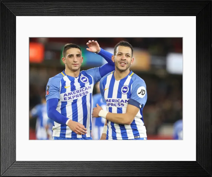 Framed Print : FA Cup 4th Round: Middlesbrough vs. Brighton & Hove Albion Clash at Riverside Stadium (27Jan18) Framed Print : FA Cup 4th Round: Middlesbrough vs. Brighton & Hove Albion Clash at Riverside Stadium (27Jan18)