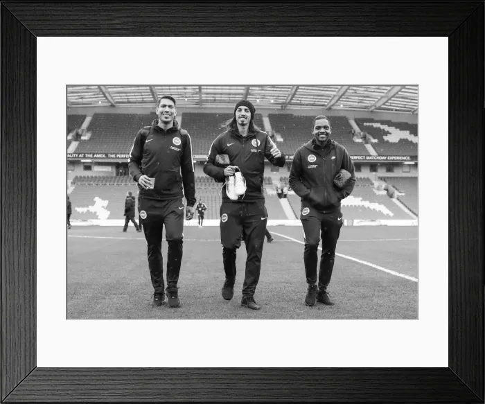 Framed Print : Brighton and Hove Albion vs. West Ham United: A Premier League Clash at American Express Community Stadium (3rd February 2018) Framed Print : Brighton and Hove Albion vs. West Ham United: A Premier League Clash at American Express Community Stadium (3rd February 2018)