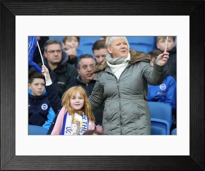 Framed Print : Brighton and Hove Albion vs. West Ham United: Premier League Battle at American Express Community Stadium (3rd February 2018) Framed Print : Brighton and Hove Albion vs. West Ham United: Premier League Battle at American Express Community Stadium (3rd February 2018)