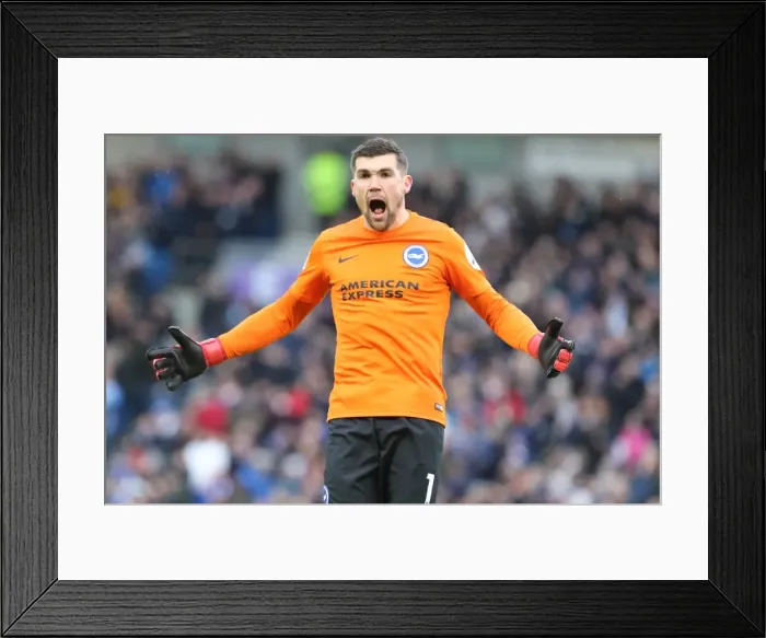 Framed Print : Brighton and Hove Albion vs. West Ham United: Premier League Showdown at American Express Community Stadium (03FEB18) Framed Print : Brighton and Hove Albion vs. West Ham United: Premier League Showdown at American Express Community Stadium (03FEB18)