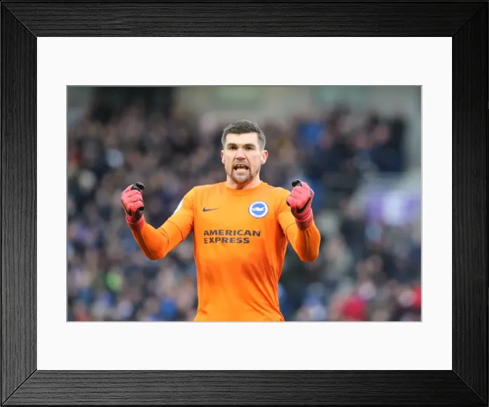 Framed Print : Brighton and Hove Albion vs. West Ham United: A Premier League Clash at American Express Community Stadium (3rd February 2018) Framed Print : Brighton and Hove Albion vs. West Ham United: A Premier League Clash at American Express Community Stadium (3rd February 2018)