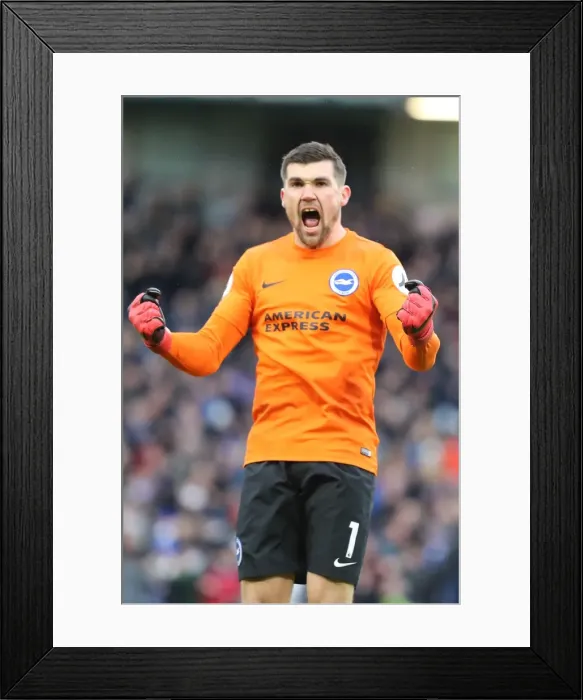 Framed Print : Brighton and Hove Albion vs. West Ham United: Premier League Showdown at American Express Community Stadium (03FEB18) Framed Print : Brighton and Hove Albion vs. West Ham United: Premier League Showdown at American Express Community Stadium (03FEB18)
