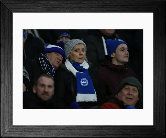 Framed Print : Brighton and Hove Albion vs. West Ham United: Premier League Showdown at American Express Community Stadium (03FEB18)