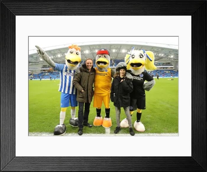 Framed Print : Brighton and Hove Albion vs. West Ham United: A Premier League Clash at American Express Community Stadium (3rd February 2018)